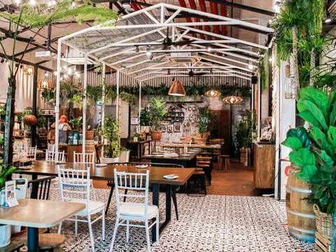 Knots Cafe and Living